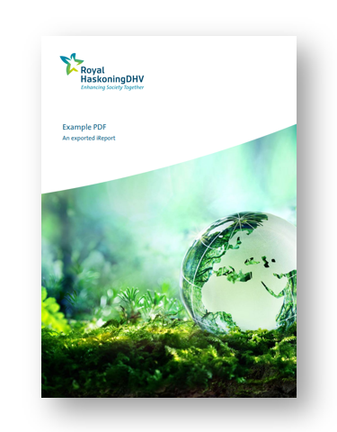 Front page of the Example PDF